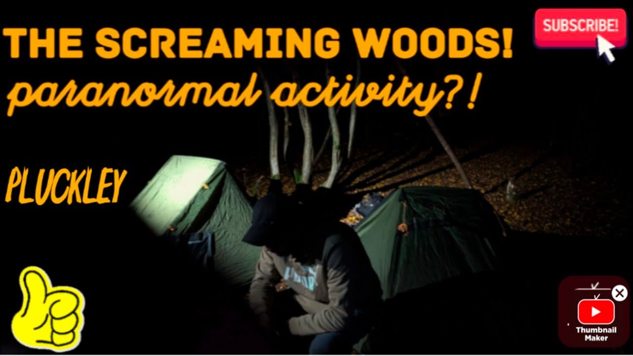Pitchedup24's tweet card. Wild Camp 16 - Screaming Woods, Pluckley - Halloween Special! SPOOKY!
