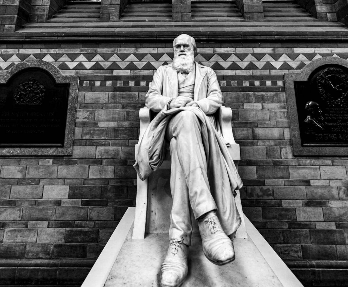 sjsoftware's tweet card. Stephen Barr on scientific theory.