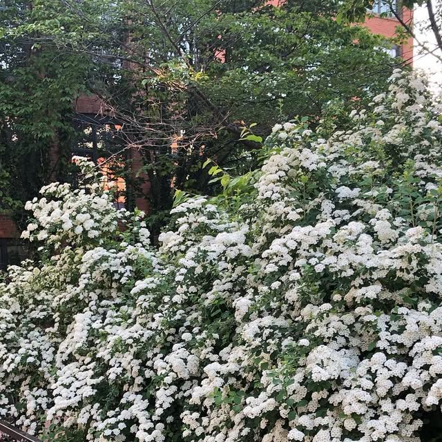 fgwaterman's tweet card. G Waterman (@fgwaterman) • Instagram photos and videos