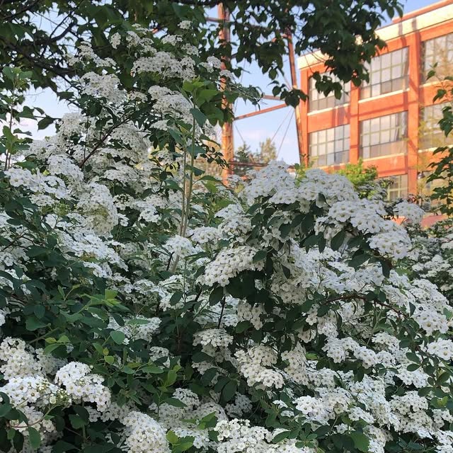 sucatholic's tweet card. SU Catholic (@sucatholic) • Instagram photos and videos