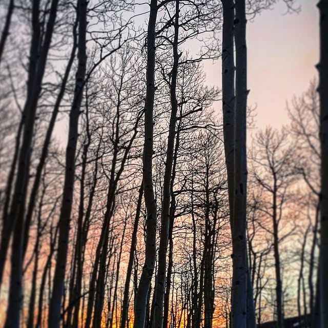 ryansutter's tweet card. Ryan Sutter (@ryansutter) • Instagram photo