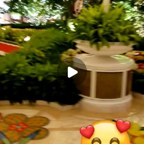 MiamiPlusModel's tweet card. Plus Model-Voiceover-Just Me (@jeannie_stlouis) • Instagram photos and videos