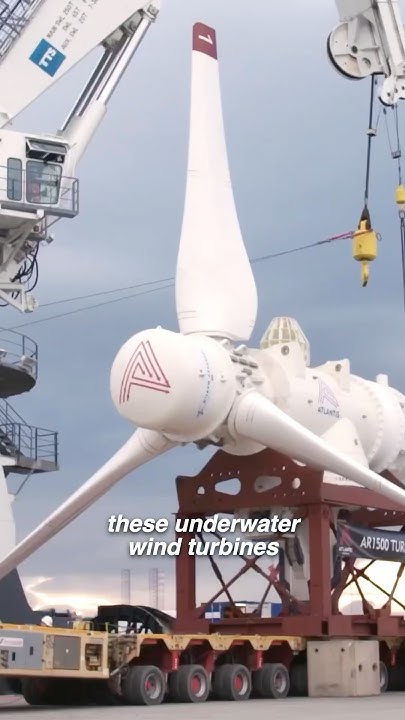 Elisoil's tweet card. Tidal turbines are powering thousands of homes in Scotland!