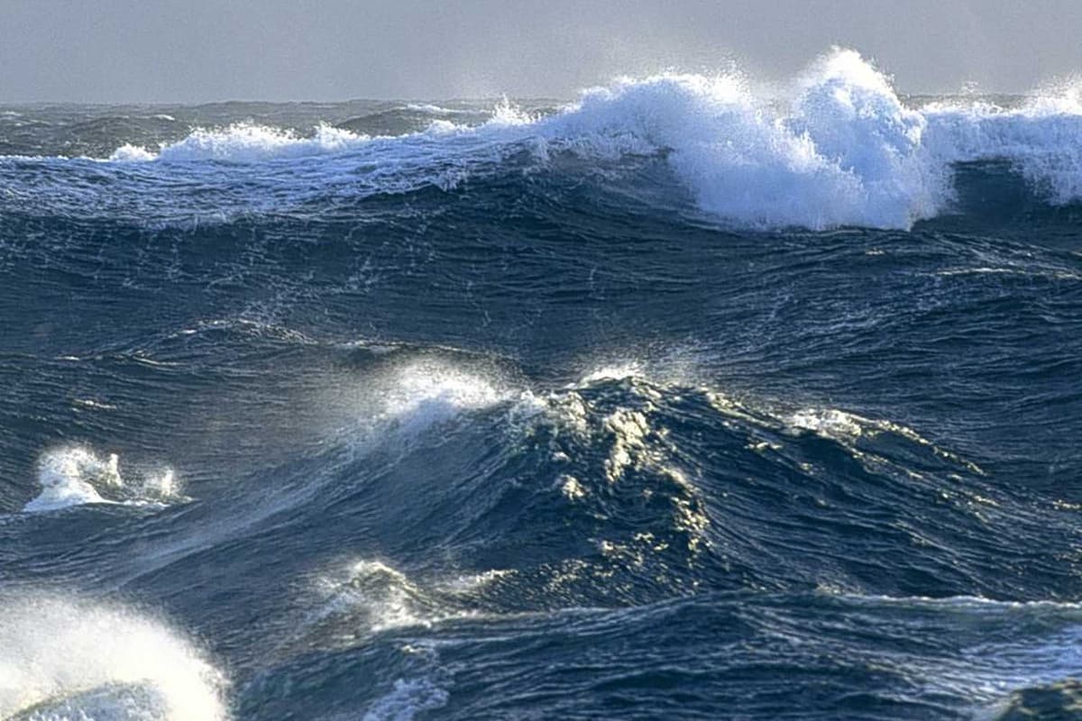 sciencemuseum's tweet card. Pollution is wrecking our seas before we have had a chance to explore their treasure trove of diversity