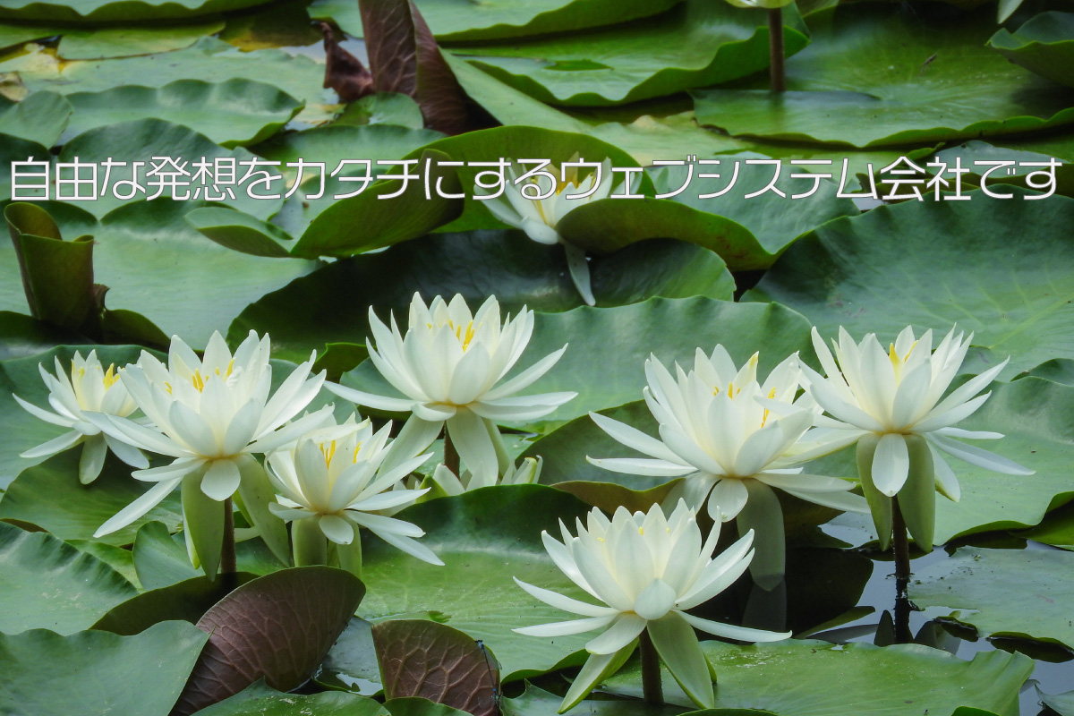 HagaSoftDesign's tweet card. 神奈川や横浜、東京・埼玉・千葉を中心に中小企業のメタバース、VR、WEBシステム開発、ECサイト、EC-CUBEプラグイン制作、IoTシステム開発ならHagaSoftwareDesign[ハガソフトウェアデザイン]