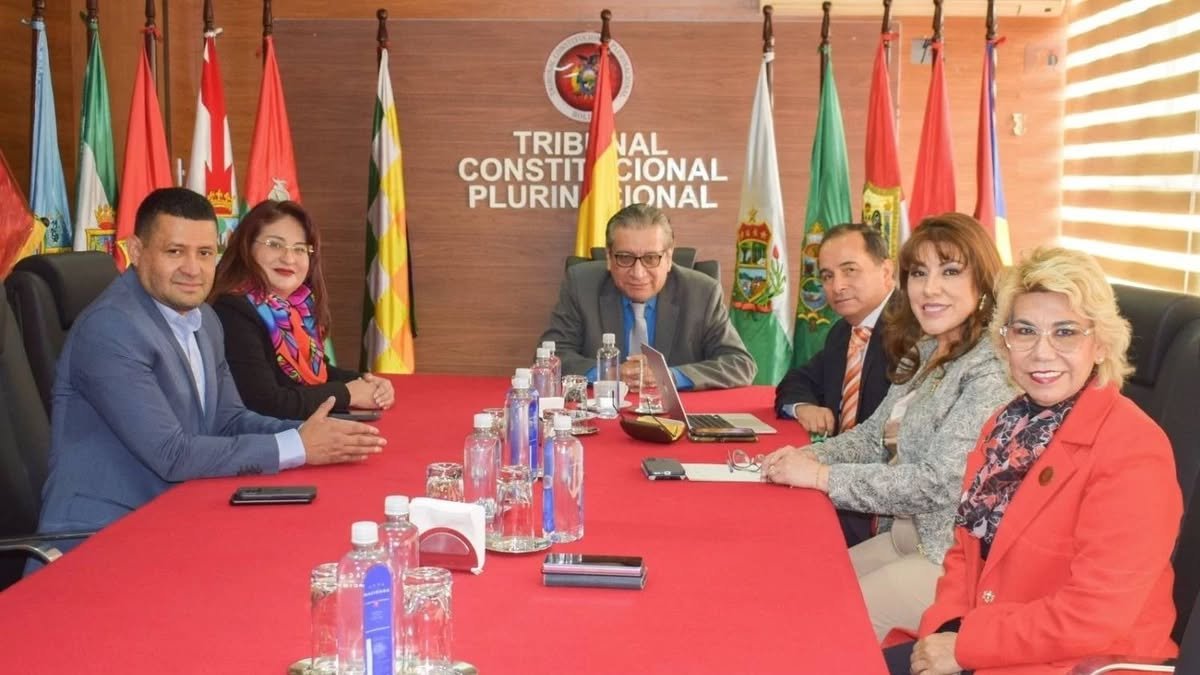 LaPatriaDigital's tweet card. El Tribunal Departamental de Justicia emitió el Auto Constitucional 0087/2025 O, que obliga a varios magistrados del TCP y TSJ a cesar funciones en diez días.