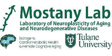 rmostany's tweet card. The Mostany Lab at Tulane University is seeking a postdoctoral researcher to study estrogen's effects on cortical synaptic plasticity. Come join us!