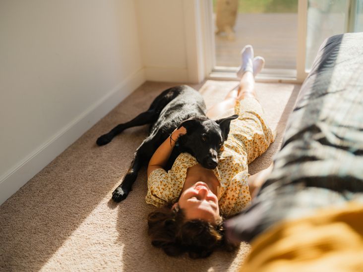 ho_sy80607's tweet card. Service dogs can work as emotional support animals. Some people with mental health conditions such as anxiety may benefit from a service dog. Learn more.