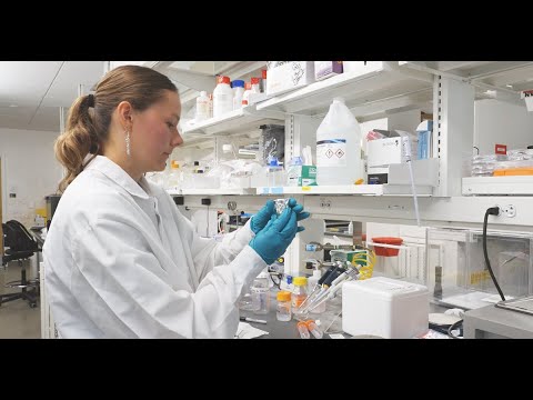 CMUEngineering's tweet card. Thea Spellmeyer: Advancing the healing potential of soy-based wound...