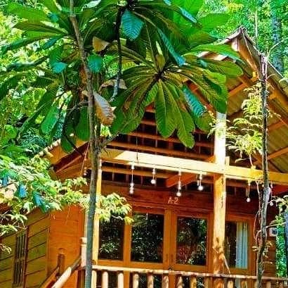 treehouse_kr's tweet card. Treehouse Bungalows (@treehouse_kohrong) • Instagram photo