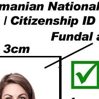 reloadinternet's tweet card. Reload Internet Paddington (@reloadinternet) • Instagram photo