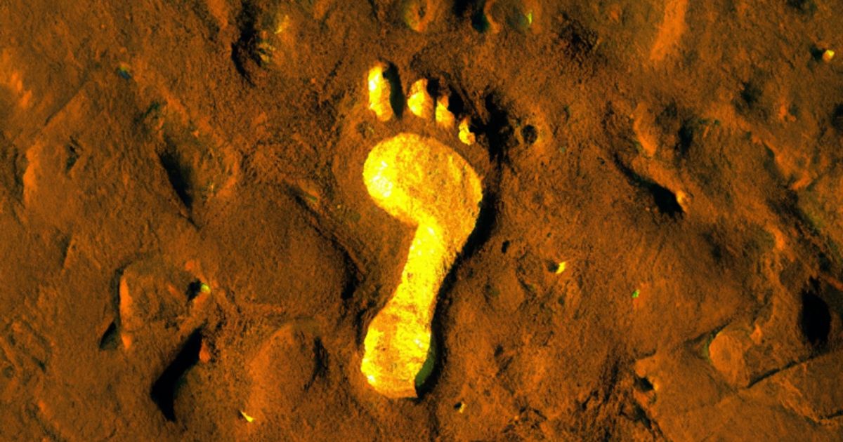 proactive_x's tweet card. Riversgold Ltd (ASX:RGL, OTC:RVSGF) has received assay results from the first six holes of a 21-hole vertical grade control drilling program completed in...