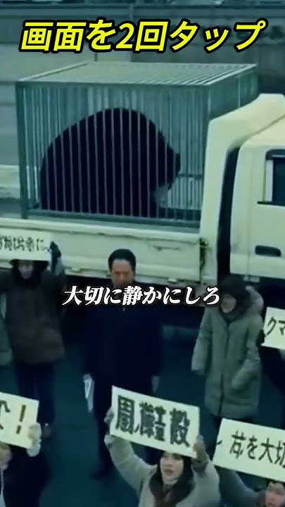 sdkdb973's tweet card. 黒熊を動物保護団体へ移送Www059 | 政府対保護団体！