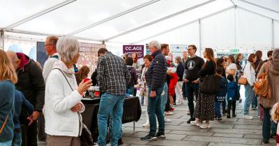 Tweet card summary image