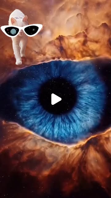 BarbalhoAndrea's tweet card. Andrea Barbalho (@andrea_barbalho) • Instagram reel