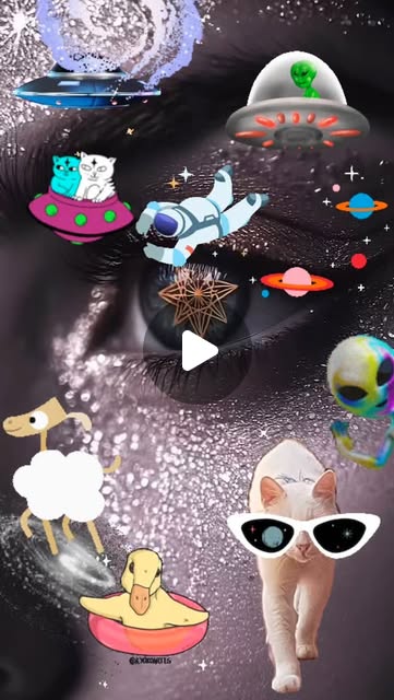 BarbalhoAndrea's tweet card. Andrea Barbalho (@andrea_barbalho) • Instagram reel