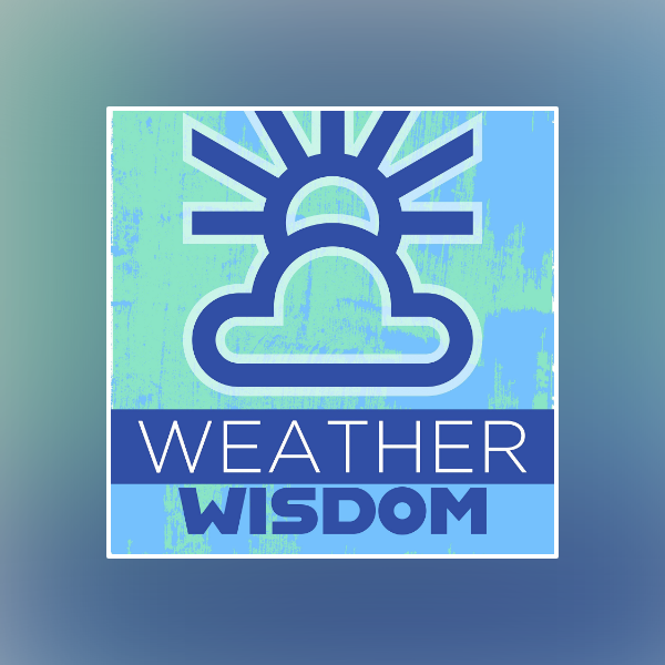 growingwisdom's tweet card. Mild Today, Much Colder For Turkey Day-Weather Wisdom November 26th...