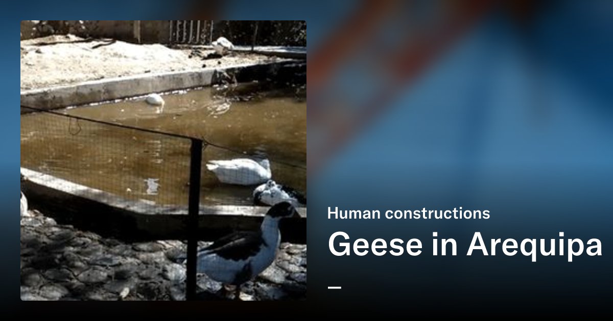 Daniel_Explorer's tweet card. Here you can find photographs or videos of all those things that human beings have made.