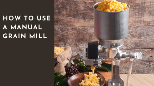 EconomicalChef's tweet card. Check out our chef's guide on how to use a manual grain mill and to troubleshoot the common challengs that most users face. Let's dive in together...