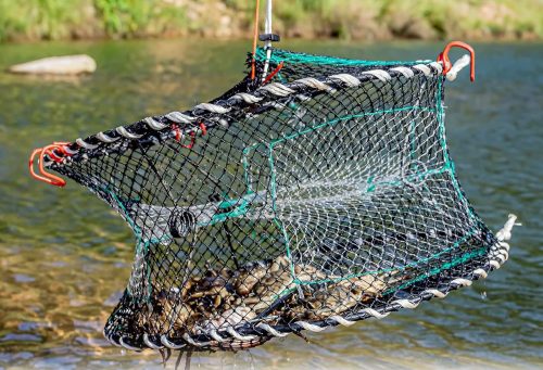 EconomicalChef's tweet card. Discover the top crab nets for a successful crabbing experience. From foldable fishing nets to easy-to-use ring traps, explore a range of options suitable..