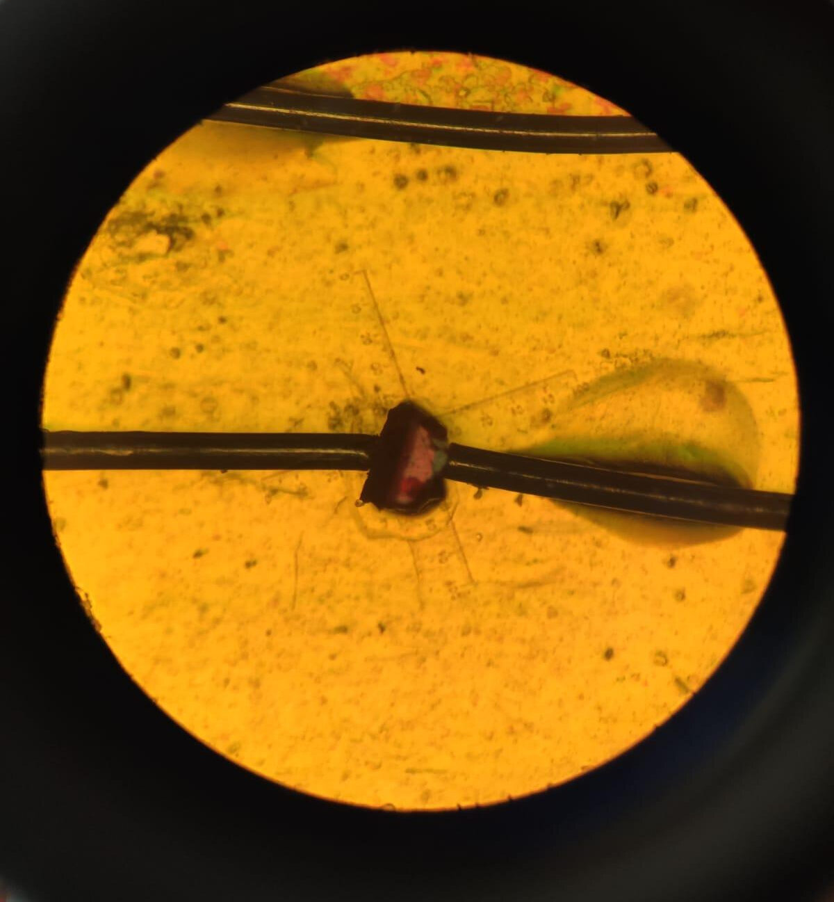 TechXplore_com's tweet card. Scientists have developed a new material that converts motion into electricity (piezoelectricity) with greater efficiency and without using toxic lead—paving the way for a new generation of devices...