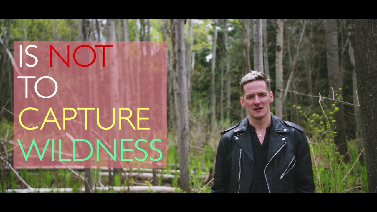 Milieux_news's tweet card. Matthew-Robin Nye: exploring wildness and utopia from a queer...