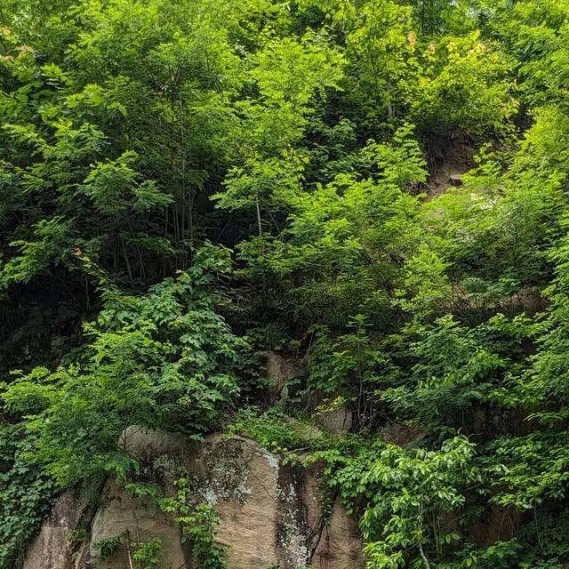 kimmie_2009's tweet card. Kimberly Smith (@auntkimmie_2015) • Instagram photo