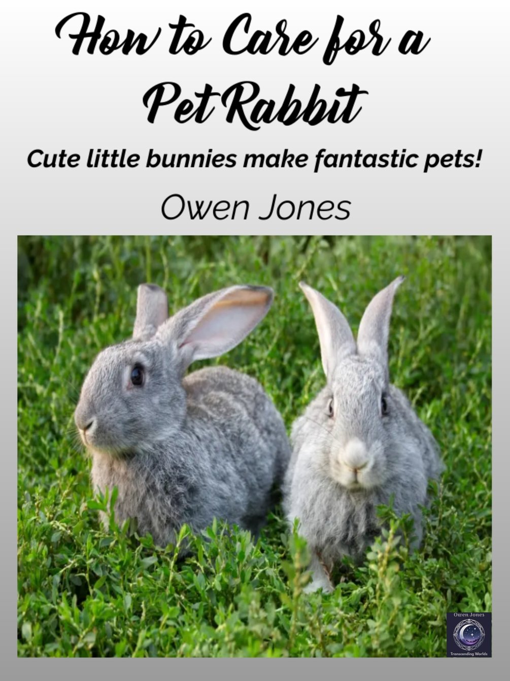 owen_author's tweet card. Rabbits are delightful pets, but they need more than just food and shelter. How to Care for a Pet Rabbit guides owners through every aspect of responsible care. From selecting the right breed to un...