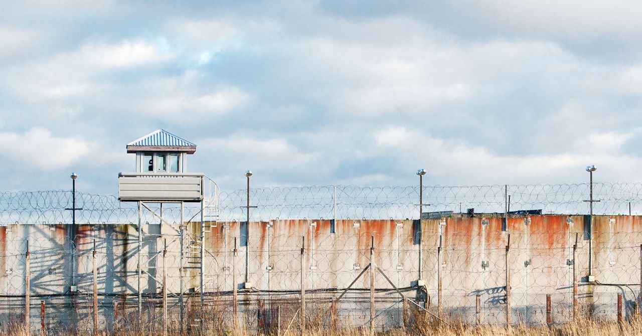 lilyhnewman's tweet card. Security analyst John Strand had a contract to test a correctional facility’s defenses. He sent the best person for the job: his mother.