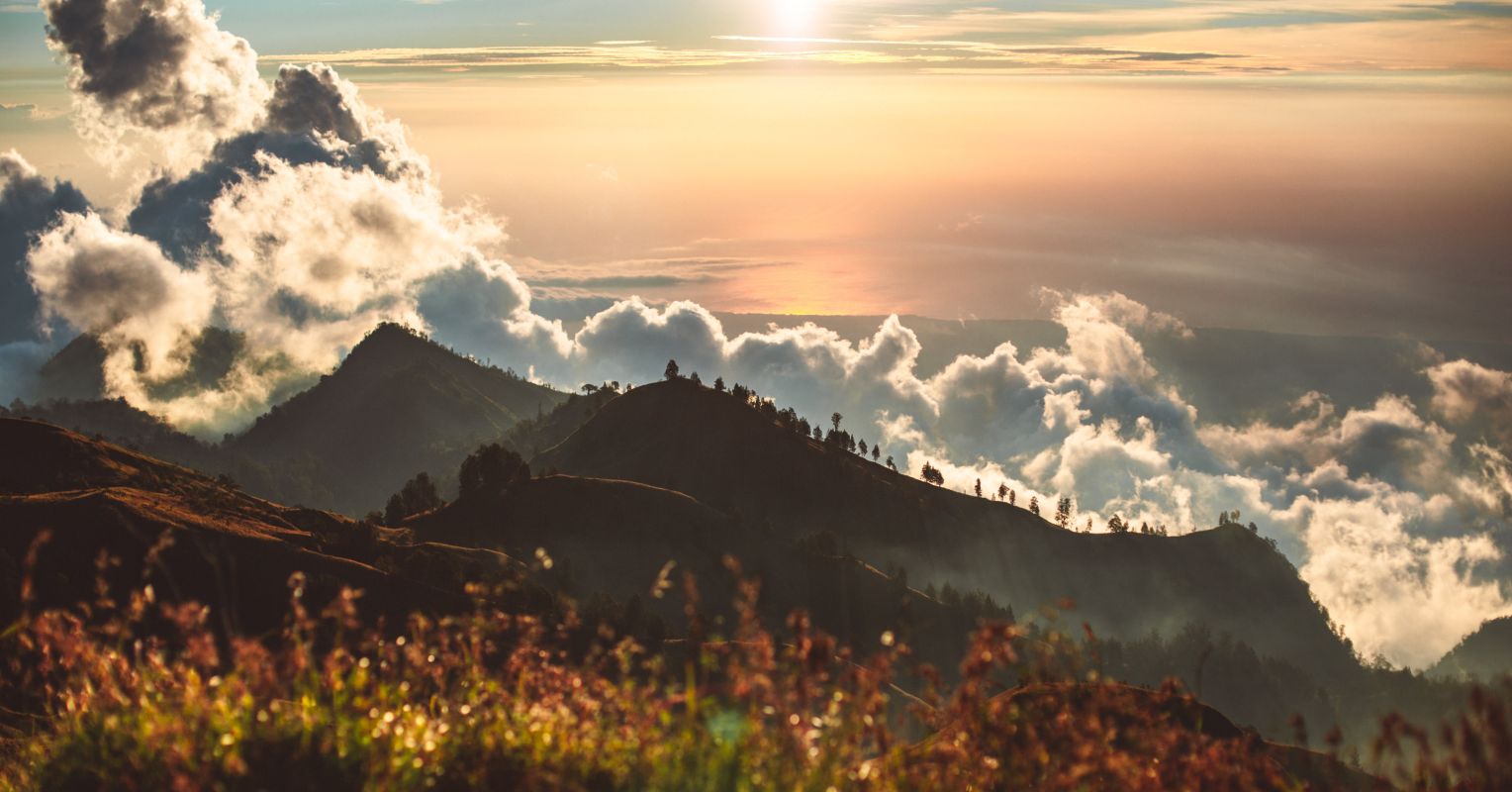 writingkraft's tweet card. We live our modern lives in a starkly different environment from the one Homo sapiens adapted to for 300,000 years. How can we resolve this troublesome evolutionary mismatch?