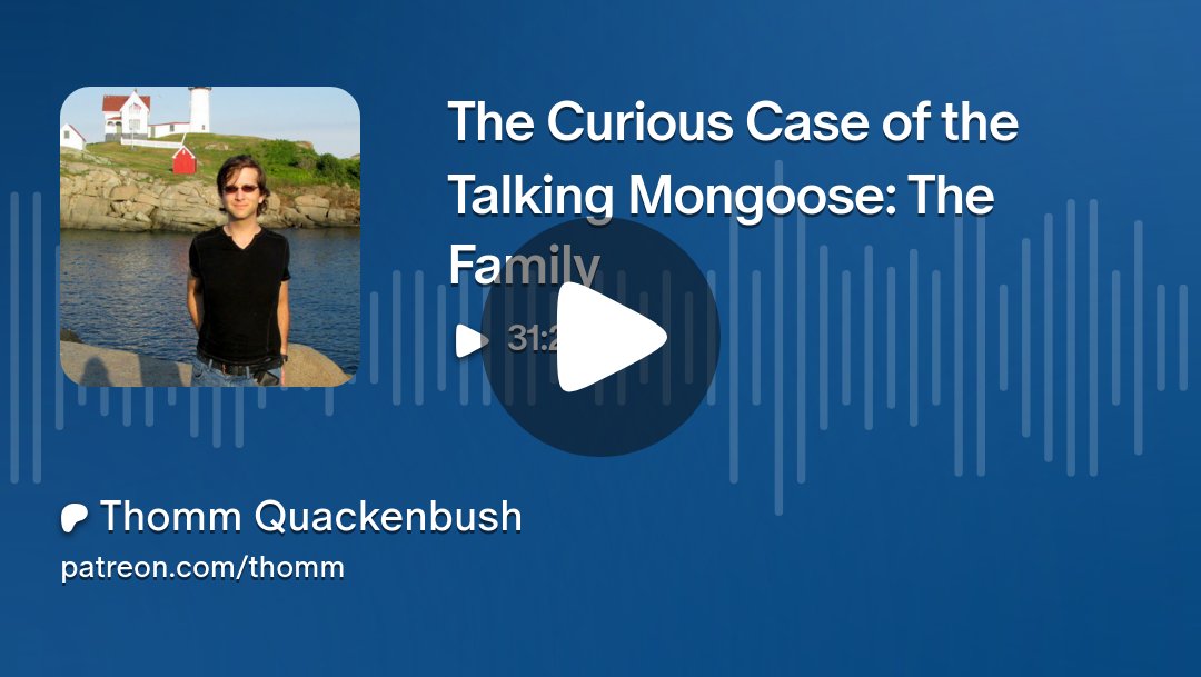 thommq's tweet card. Get more from Thomm Quackenbush on Patreon