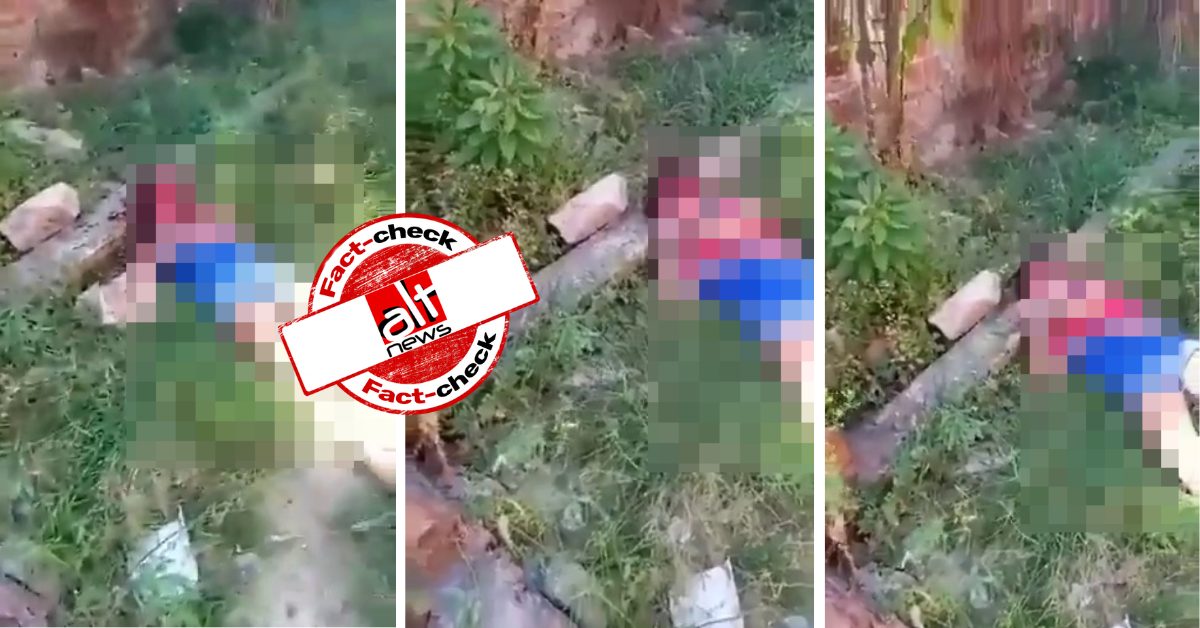 zoo_bear's tweet card. सोशल मीडिया पर वायरल हो रहे वीडियो में एक बंधक बनायी गयी महिला दिखती है जिसे कुल्हाड़ी से मार दिया गया है. दावा किया जा रहा है कि ये वीडियो...