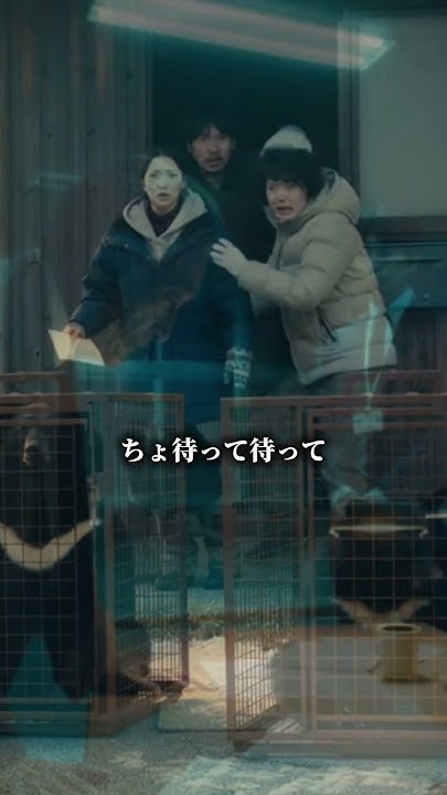 sdkdb973's tweet card. クマ保護団体への報復！ #熊 #熊被害 #shorts #クマ被害 #愛護団体 #shortvideo