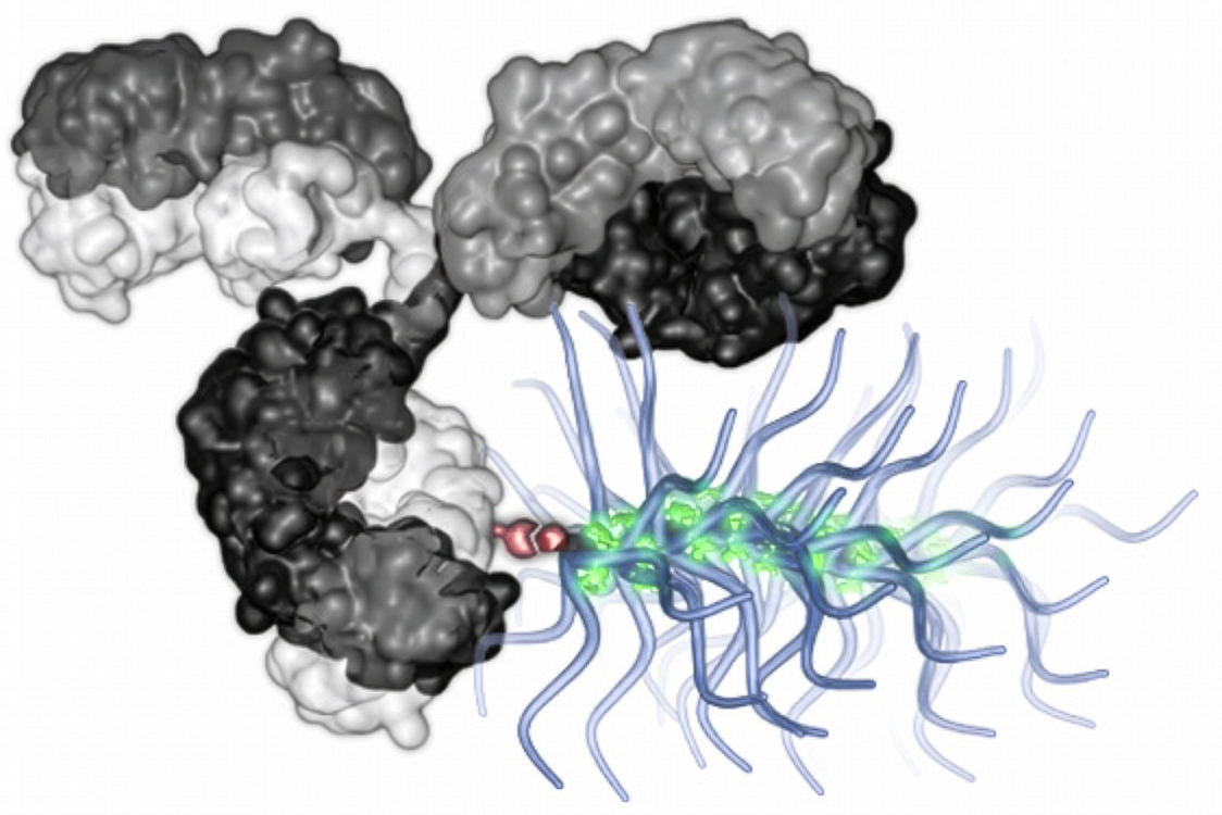 ScienceMIT's tweet card. Using nanoparticles shaped like bottlebrushes, MIT chemists can deliver a large range of chemotherapy drugs directly to tumor cells, which could reduce the side effects of treatment.