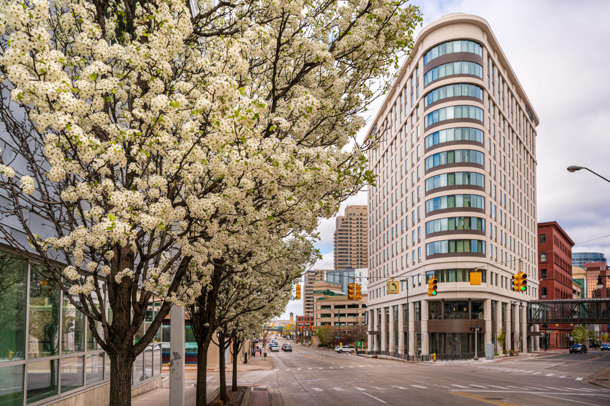 DPTSolutionsInc's tweet card. There are still ways to enjoy spring in Grand Rapids. Find virtual tours, restaurants with dine out & delivery options, and outdoor activities in wide-open space.