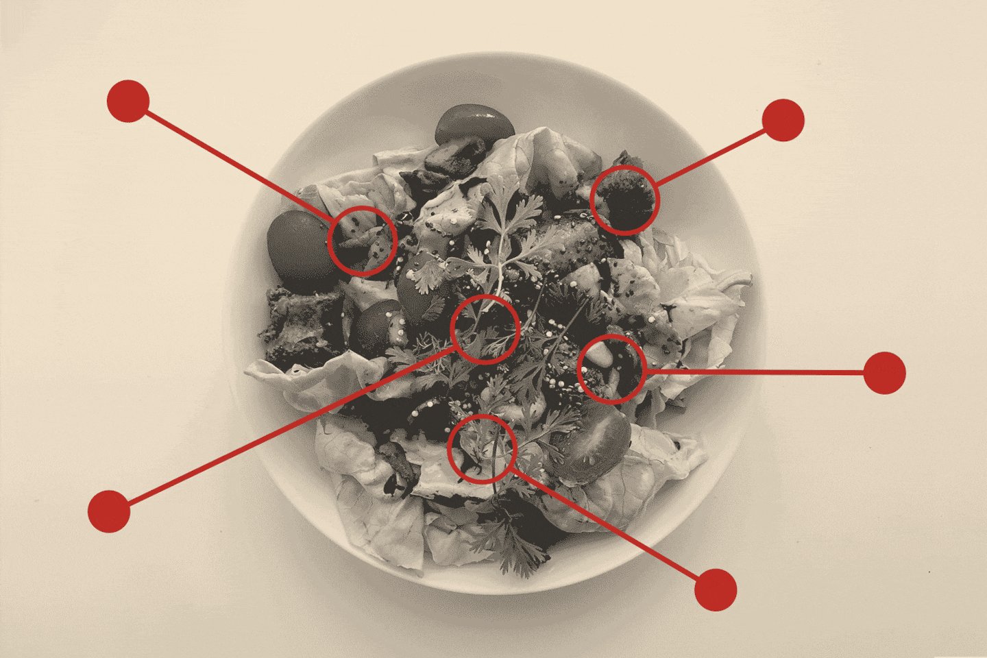 CreativeBiohack's tweet card. To build a better salad, you want ingredients that add fiber, nutrients and antioxidants, protein and healthy fats.