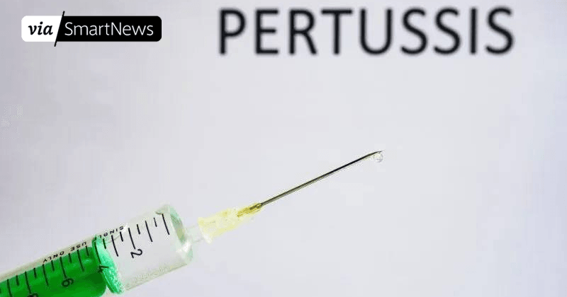 pblefty3's tweet card. An infant has died from whooping cough in Kentucky, the third such instance in the past 12 months, state health officials said Monday. The infant and their m...