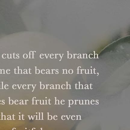 softcoda's tweet card. Justin Johnson (@softcoda) • Instagram photo