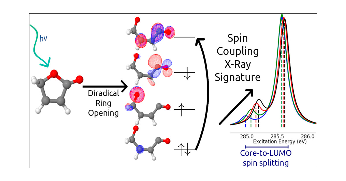 J_A_C_S's tweet card. We theoretically investigate the influence of diradical electron spin coupling on the time-resolved X-ray absorption spectra of the photochemical ring opening of furanone. We predict geometry-depen...