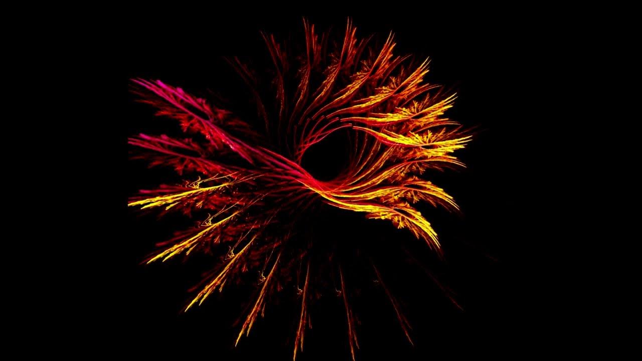 ferferrelli's tweet card. While