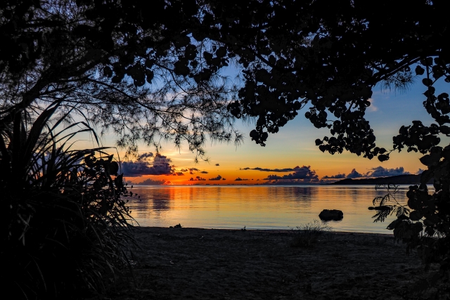 yoyoyow2022's tweet card. 20年ほど前にあるきっかけで初めて沖縄に一人旅に行きました。（詳細は以前の記事で）そして沖縄の海の美しさの虜となりその後何度か訪れたのですが。その沖縄旅行の時に、さまざまな面白い出会いがあり「引き寄せの法則」は本当だったと心底感じたので少し