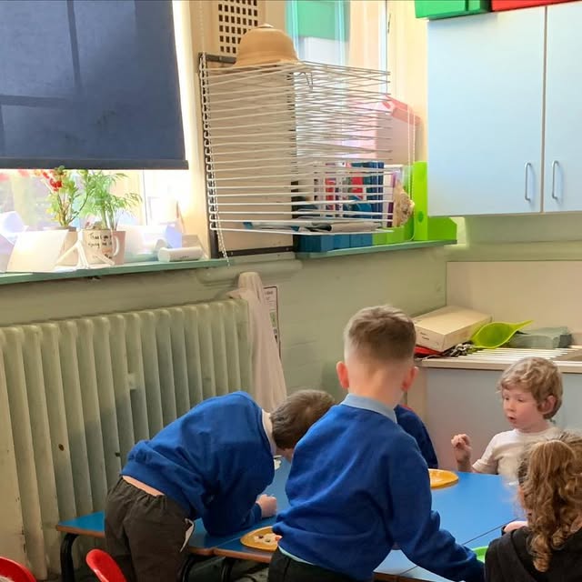 SuperScientist2's tweet card. Kerry Esgate-Green (@super_scientists_ltd) • Instagram photos and videos