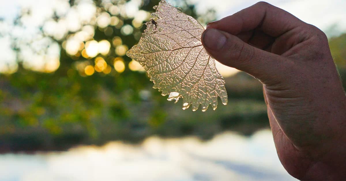 AuthenticateIS's tweet card. Authenticate discovers the benefits of transparency and gives insights into safeguarding your business against disruptions in supply chain