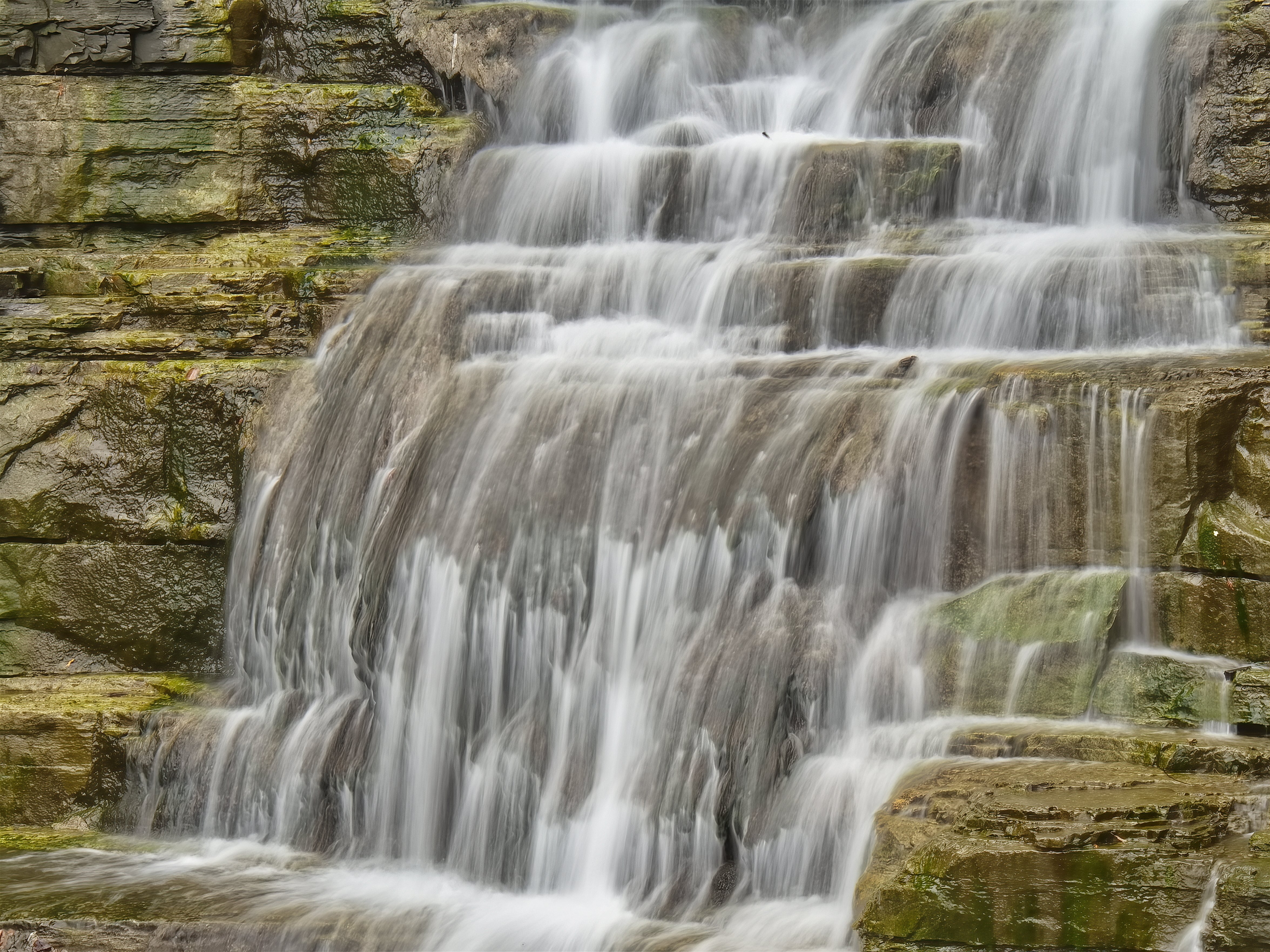 DataCookbook's tweet card. IData, webinar, higher, education, he, ed, data, governance, recorded, best, practices, etl, integration, flow, catalog, specifications, processing