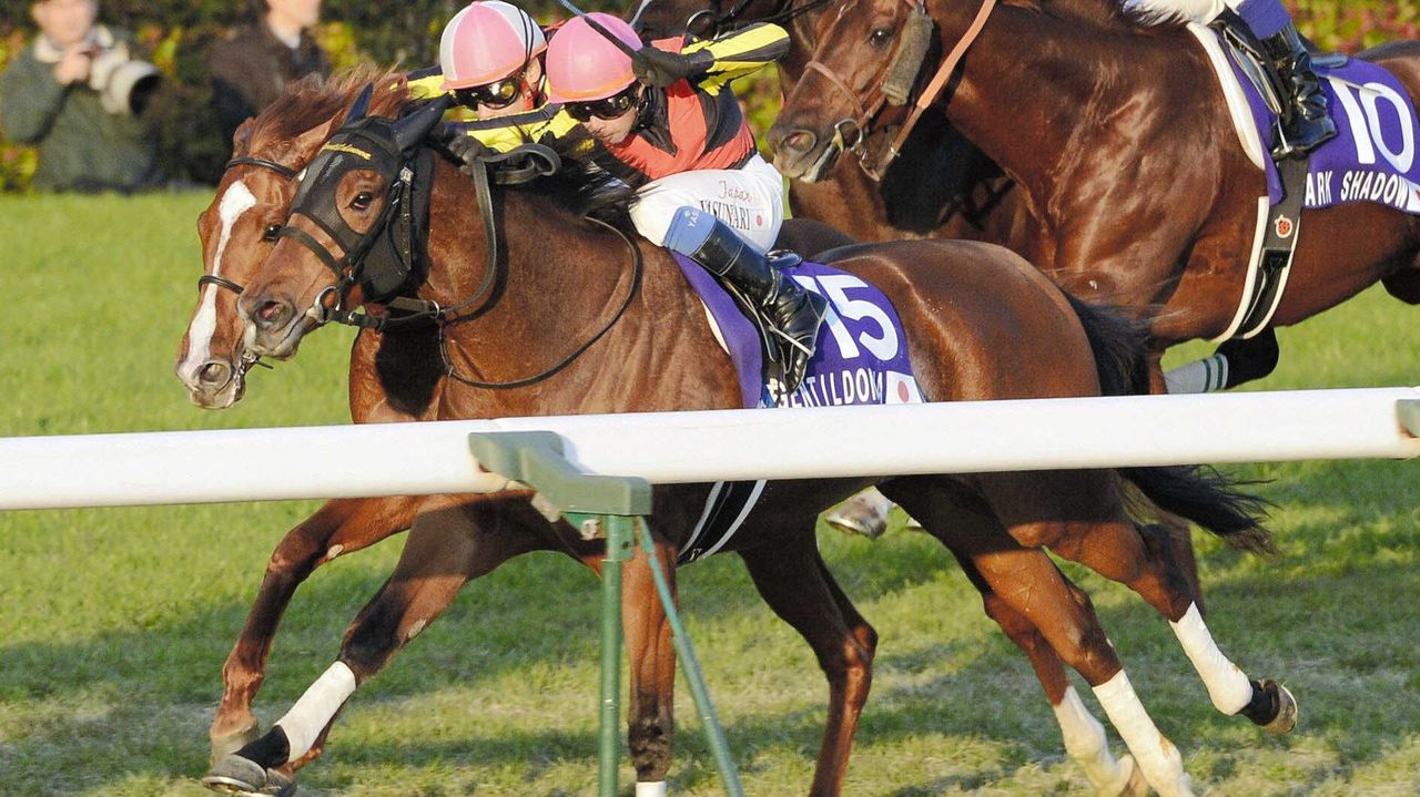 YahooNewsTopics's tweet card. １２年の３冠牝馬で史上初めてジャパンＣ連覇を果たしたＧ１・７勝馬ジェンティルドンナが、２５日に死んでいたことが明らかになった。１６歳だった。現役時代に所属していたサンデーサラブレッドクラブが２６日、