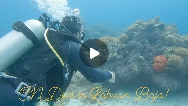 _M_Traders's tweet card. Armando Zapata Paetau (@mando2809) • Instagram reel