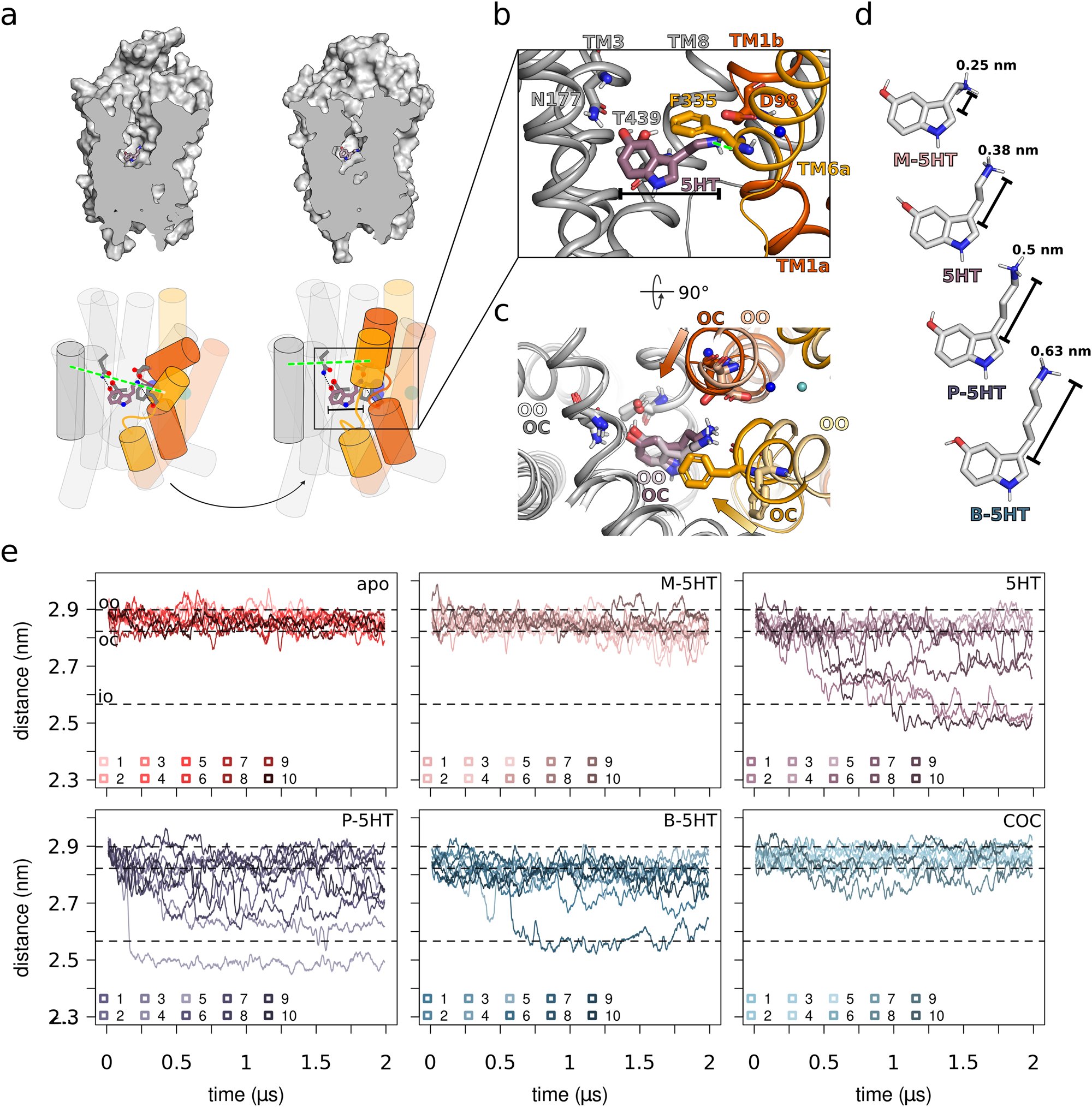 KatharinaSchlgl's tweet card. Nature Communications - The serotonin transporter, targeted by several medications, terminates neurotransmission by clearing serotonin from the synaptic cleft. Combining biochemical results with in...