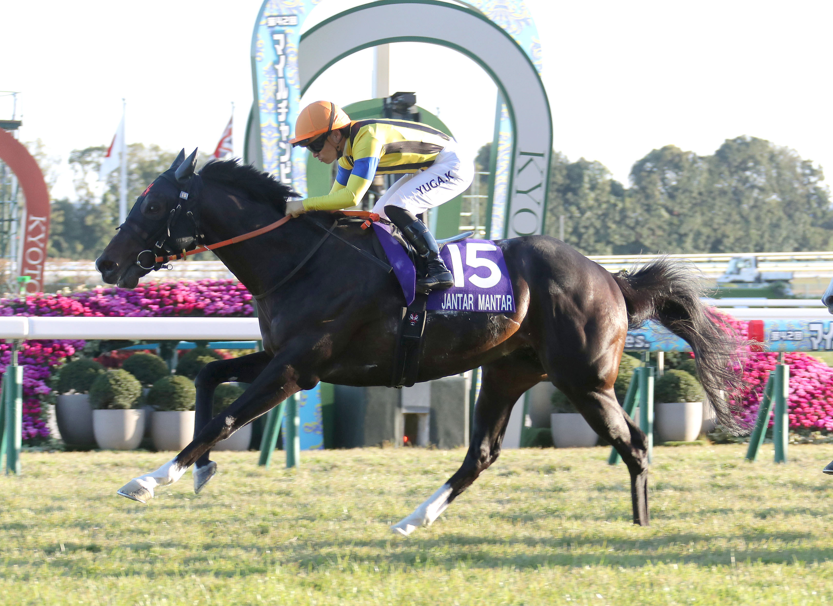 gendai_keiba's tweet card. 　マイルＣＳは圧倒的１番人気のジャンタルマンタル完勝で終わった。　１４年ダノンシャークを０秒２上回る１分３１秒３のレースレコード。しかも、朝日杯フューチュリティＳ、ＮＨＫマイルＣ、安田記念に続くＧⅠタイトルで、牡馬が出走できるマイルＧⅠを史上初の完全制覇。文句のつけようがない。　…