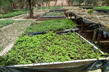 samburuproject's tweet card. In Burkina Faso, the nonprofit organization La Saisonnière empowers rural women by teaching them skills like carpentry, sewing, and organic farming, which helps them contribute to their children's...