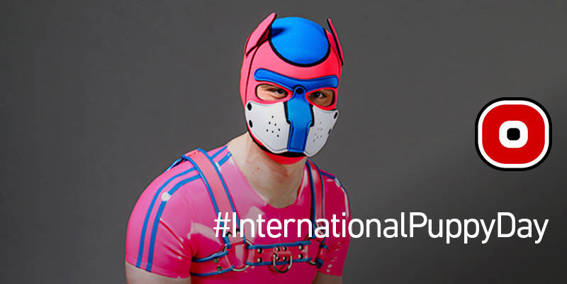 PLoadstone's tweet card. JOIN IN: March 23 is International Puppy Day, howl with pride, wag your tail with joy, and celebrate human pups with the #InternationalPuppyDay hashtag on social media.